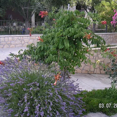 Studio Ljubac 14593b Rtina